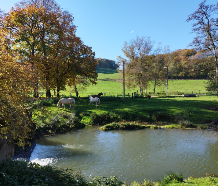 les exterieurs du chateau de manon gite dans les ardennes