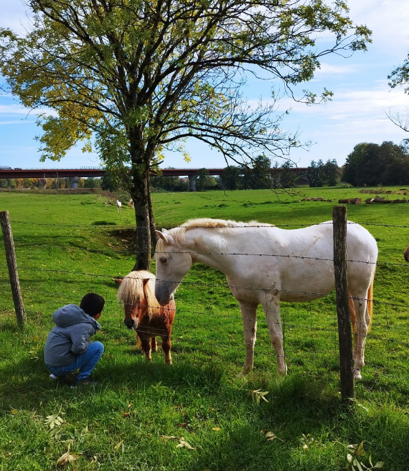 la-ferme-de-la-basse-touligny