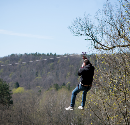 Parc aventure 